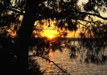 337d1f4a29034d20b65e3393848da96e.png
